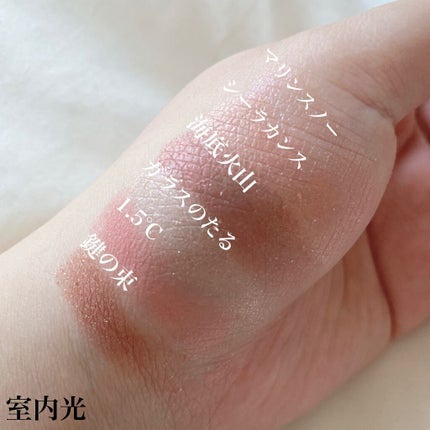 ナイストゥミーチュートランク/MAJOLICA MAJORCA/アイシャドウパレットを使ったクチコミ(5枚目)