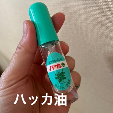 ハッカ油 スプレー/北見ハッカ通商/その他を使ったクチコミ(1枚目)