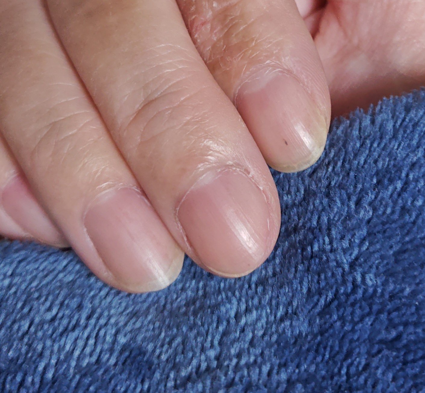 オホーラ ジェルランプ/ohora/ネイル用品を使ったクチコミ（1枚目）