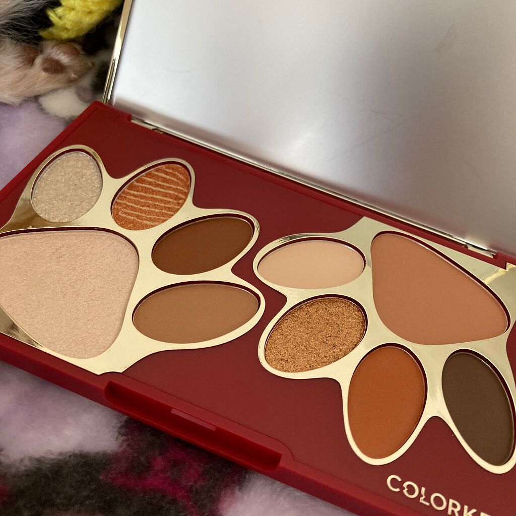 トラ十色アイシャドウパレット/COLORKEY/アイシャドウパレットを使ったクチコミ(1枚目)