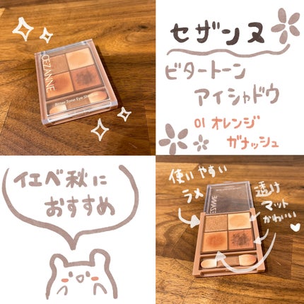 ビタートーンアイシャドウ/CEZANNE/パウダーアイシャドウを使ったクチコミ(1枚目)