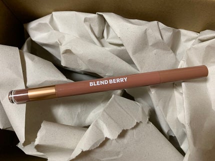 ニュアンスオン 3Dアイブロウ /BLEND BERRY/パウダーアイブロウを使ったクチコミ(4枚目)