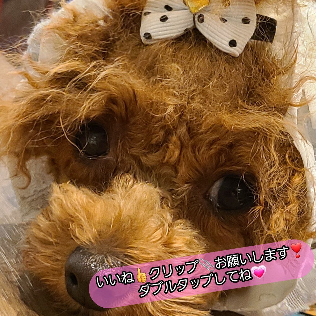 ネイルホリック リペアミルク/ネイルホリック/ネイルオイル・トリートメントを使ったクチコミ（3枚目）