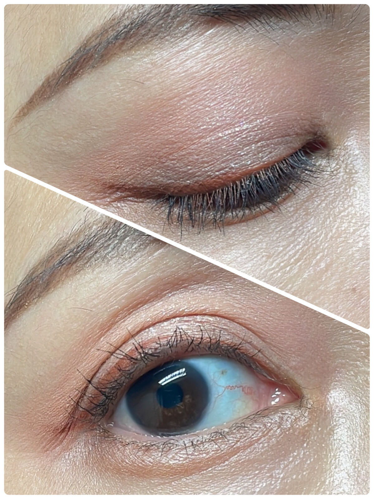 ミドルトーンアイシャドウコレクターパレット/Laka/アイシャドウパレットを使ったクチコミ（2枚目）