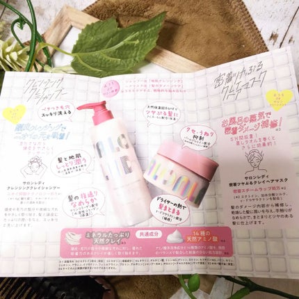 サロンレディ 密着ツヤぷるクレイヘアマスク/SALON LADY/ヘアマスク・ヘアパックを使ったクチコミ(1枚目)