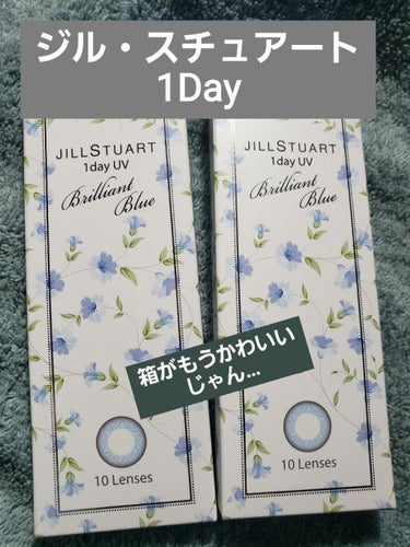 JILL STUART 1day UV/JILL STUART/ワンデー（１DAY）カラコンを使ったクチコミ（2枚目）