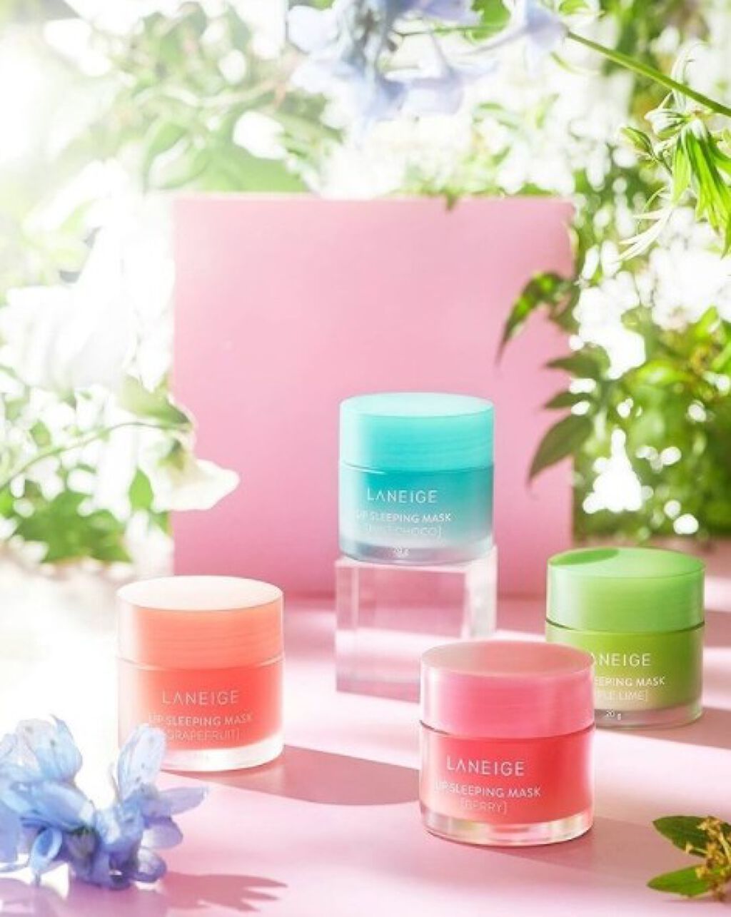 【韓国コスメ】ラネージュ公式からのプレゼント第18弾✨（1枚目）