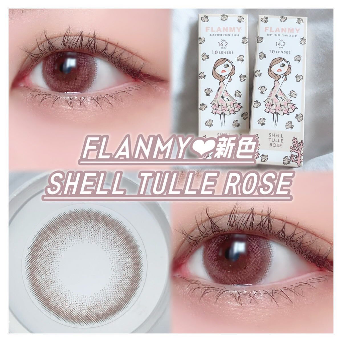 ワンショットアイパレット/CHICAY CHICO/アイシャドウパレットを使ったクチコミ（1枚目）