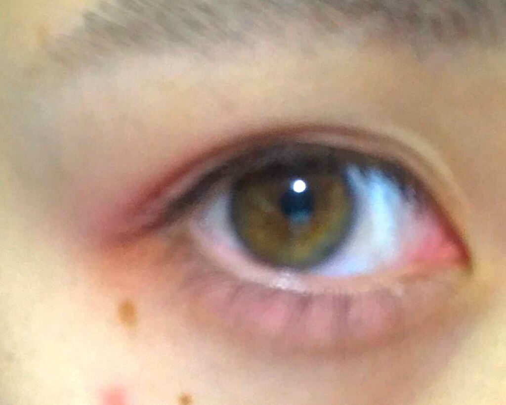 ダイソー×IT GIRL アイシャドウ/DAISO/単色アイシャドウを使ったクチコミ(1枚目)