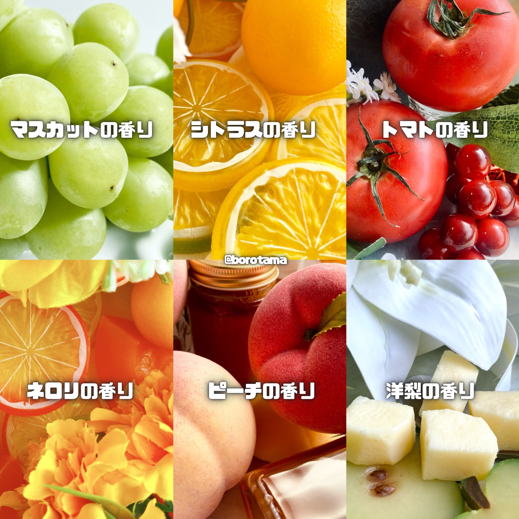 オ パフュメ ネロリ /ロジェ・ガレ/香水(レディース)を使ったクチコミ（3枚目）