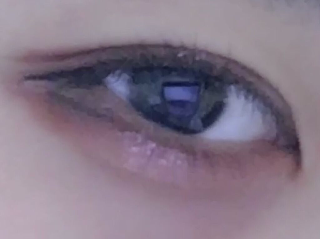 プロ アイ パレット/CLIO/アイシャドウパレットを使ったクチコミ（1枚目）