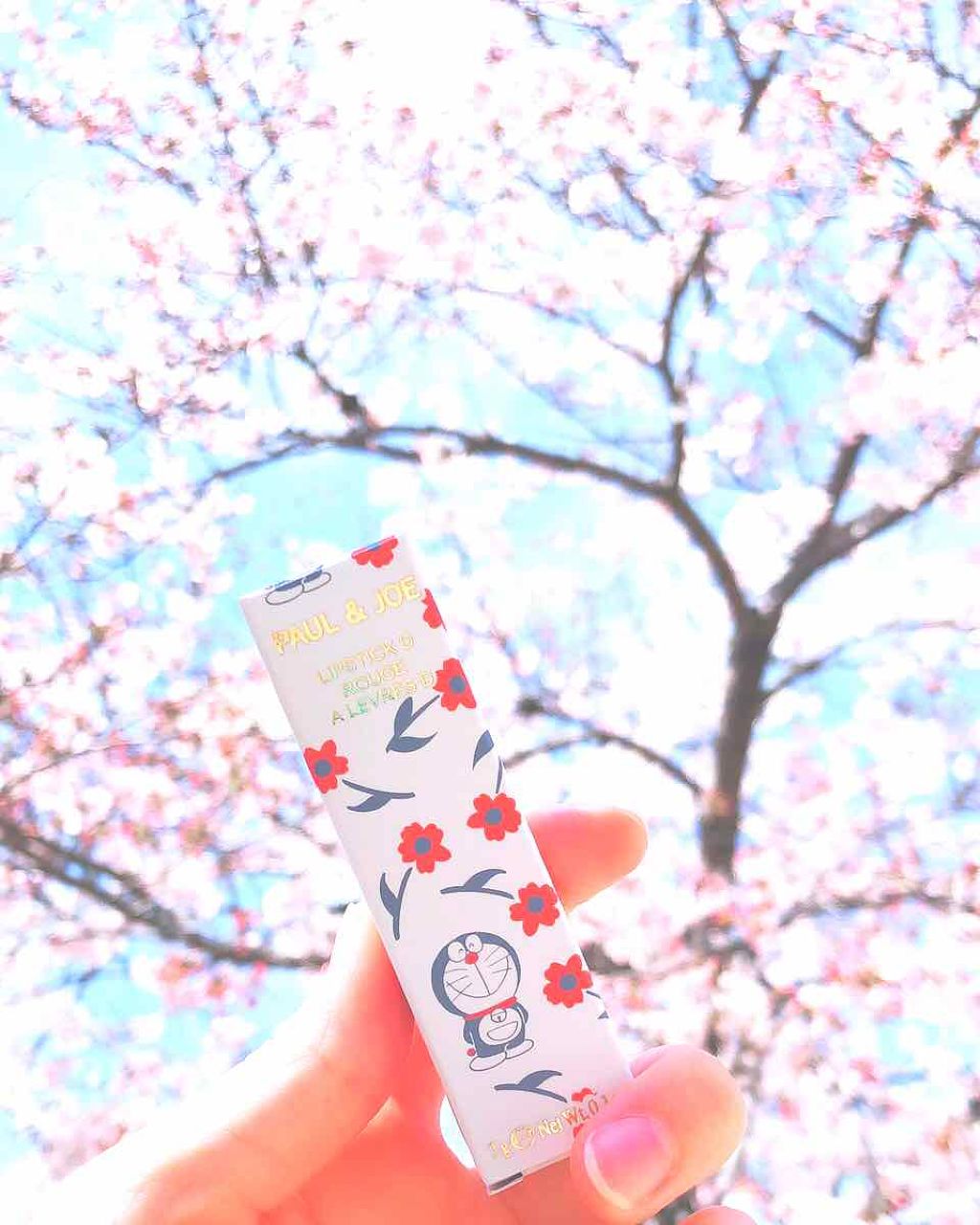 リップスティック D/PAUL & JOE BEAUTE/口紅を使ったクチコミ（1枚目）