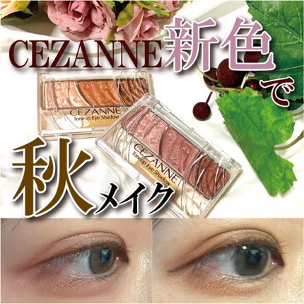 トーンアップアイシャドウ/CEZANNE/アイシャドウパレットを使ったクチコミ(1枚目)