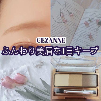 ノーズ&アイブロウパウダー/CEZANNE/パウダーアイブロウを使ったクチコミ(1枚目)