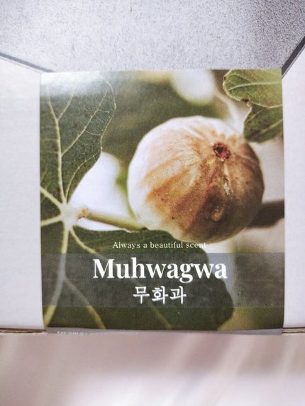 オブジェディフューザー/hetras/ルームフレグランスを使ったクチコミ(4枚目)