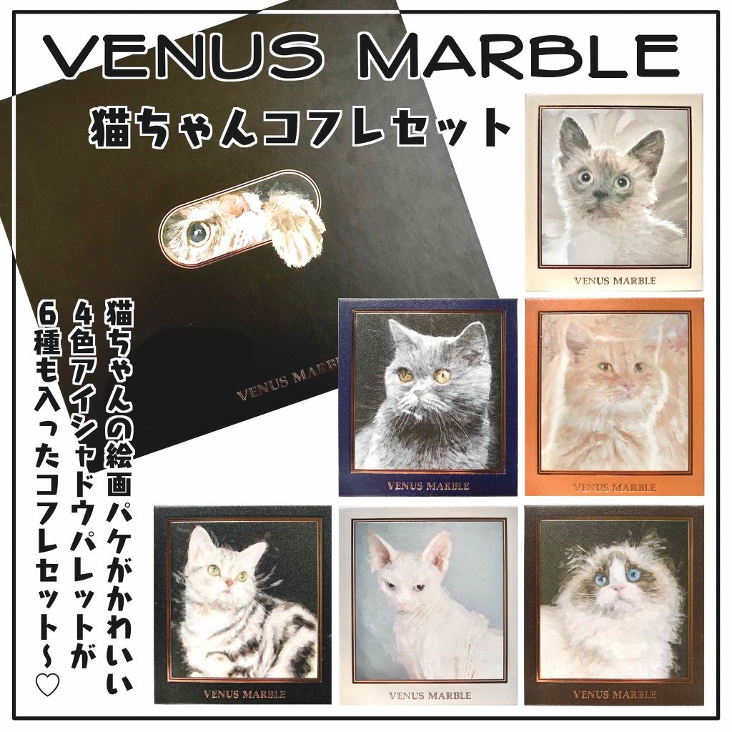 Venus Marble アイシャドウキャットシリーズ/Venus Marble/アイシャドウパレットを使ったクチコミ(1枚目)