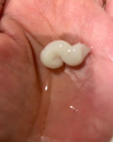 ドリーミー モイスト シャンプー/ヘアトリートメント/THERATIS/市販シャンプーを使ったクチコミ(2枚目)