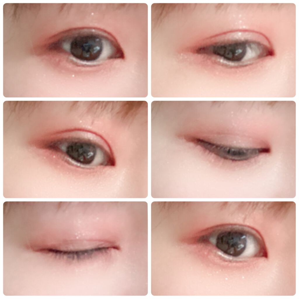 エクスプローラ12色 動物アイシャドウパレット/PERFECT DIARY/アイシャドウパレットを使ったクチコミ(5枚目)