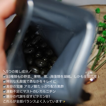 nagomi KOUSO 30粒/renaTerra/健康サプリメントを使ったクチコミ(2枚目)