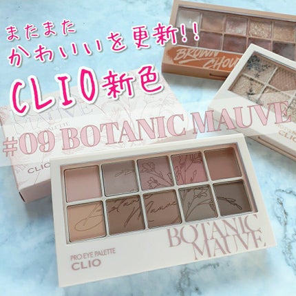 プロ アイ パレット/CLIO/アイシャドウパレットを使ったクチコミ(1枚目)