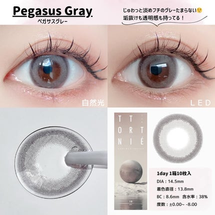 TETRITON/TETRITON/ワンデー(1DAY)カラコンを使ったクチコミ(7枚目)