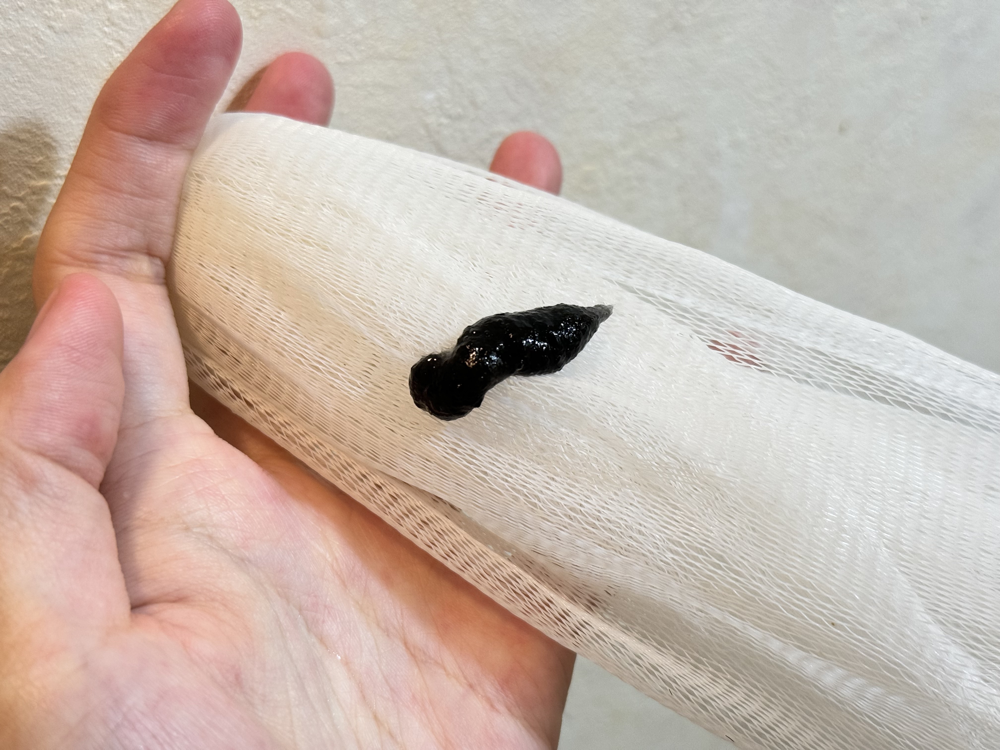 BLACK JELLY WASH（ブラックジェリーウォッシュ）/PLUEST/その他洗顔料を使ったクチコミ（2枚目）