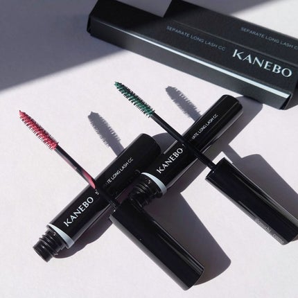 カネボウ アイカラーデュオ/KANEBO/アイシャドウパレットを使ったクチコミ(5枚目)