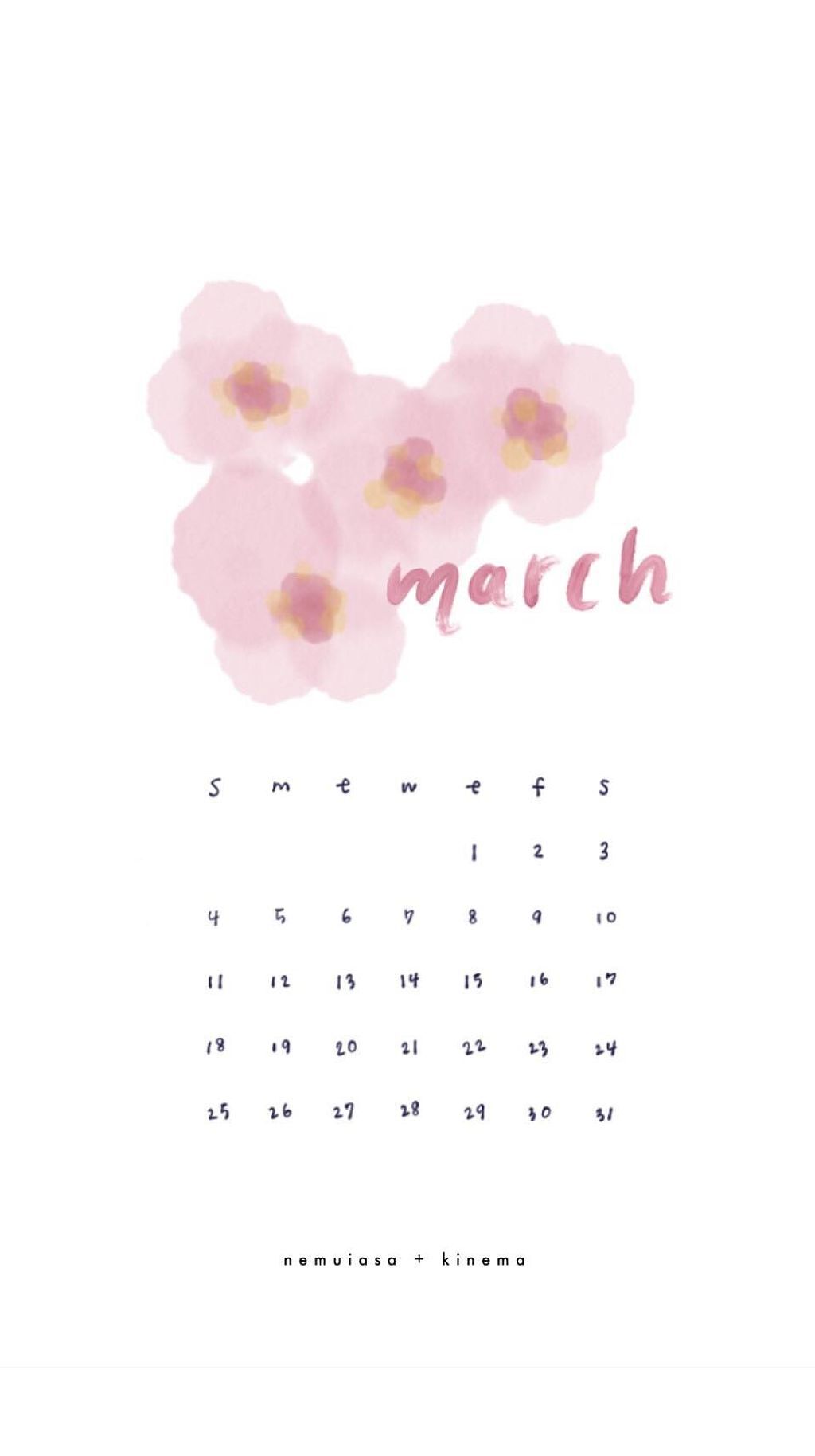 モイスチャーライジング・スキントナー (拭き取り化粧水)/kinema/拭き取り化粧水を使ったクチコミ（1枚目）