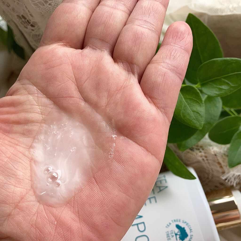 BONFRE TEA TREE SHAMPOO/NICHIRICH/市販シャンプーを使ったクチコミ(3枚目)