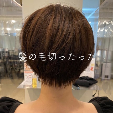 しに子ちゃん on LIPS 「髪の毛切った。誕生日だったから、月に二回美容室にいくくらいの贅..」(1枚目)