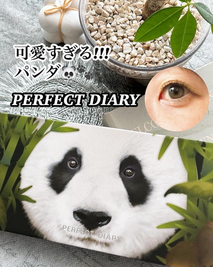 エクスプローラ12色 動物アイシャドウパレット/PERFECT DIARY/アイシャドウパレットを使ったクチコミ(1枚目)