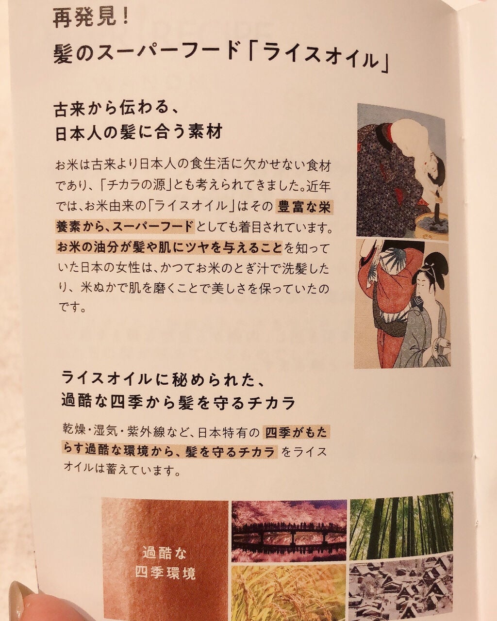 つるん シャンプー/トリートメント/WANOMI/シャンプー・コンディショナーを使ったクチコミ(4枚目)