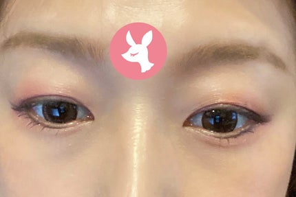 パラドゥ シングルアイシャドウ /パラドゥ/単色アイシャドウを使ったクチコミ(8枚目)