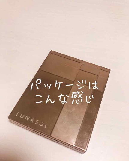 スキンモデリングアイズ/LUNASOL/アイシャドウパレットを使ったクチコミ(3枚目)