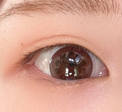 アイシャドウパレット ブロッサムエディション/Peach C/アイシャドウパレットを使ったクチコミ(4枚目)