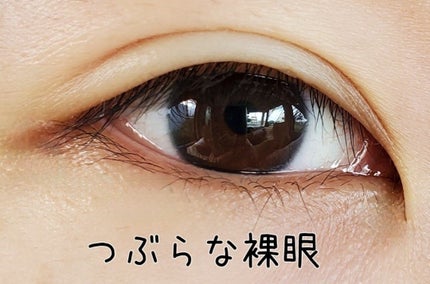 Honey kiss 1day ちゅるんブラック/HoneyKiss/ワンデー(1DAY)カラコンの画像