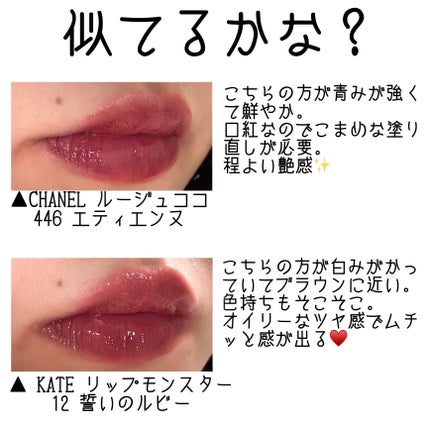 ルージュ ココ/CHANEL/口紅を使ったクチコミ(3枚目)