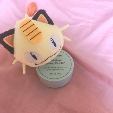 ノーセバム ミネラルパウダー/innisfree/ルースパウダーを使ったクチコミ(2枚目)