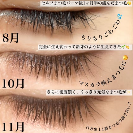 を使ったクチコミ(2枚目)