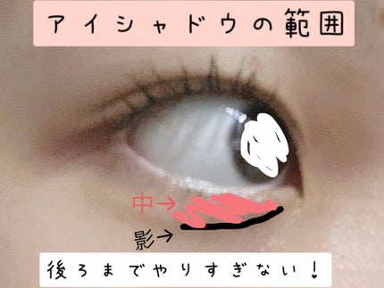 パーフェクトマルチアイズ/キャンメイク/アイシャドウパレットを使ったクチコミ(7枚目)