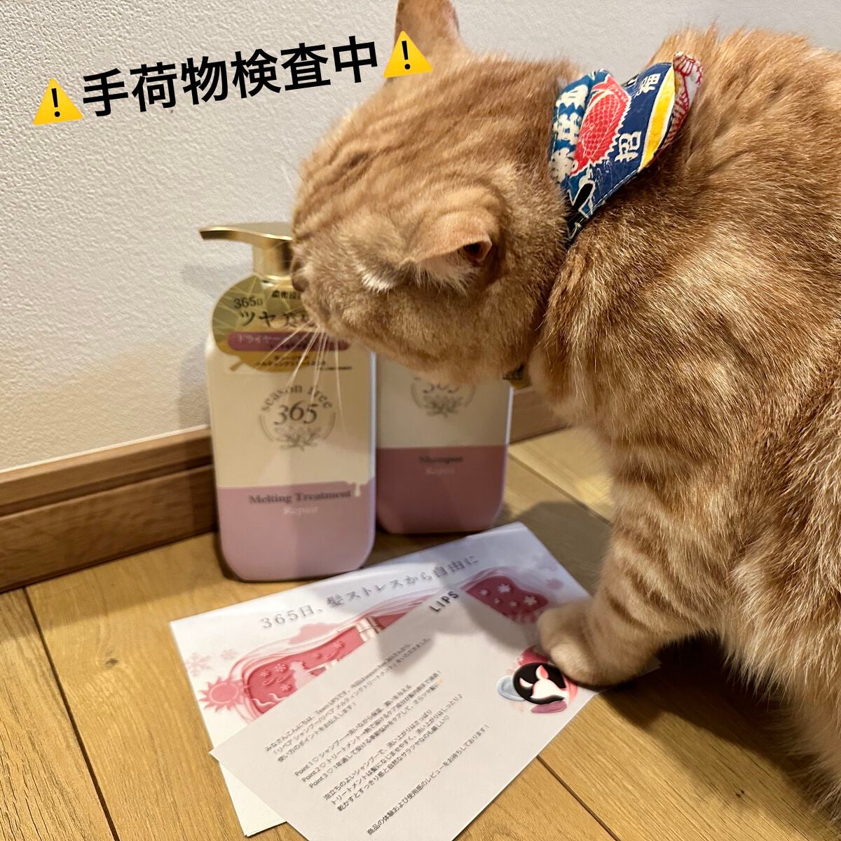 リペア シャンプー/メルティングトリートメント/season free 365/市販シャンプーを使ったクチコミ(10枚目)