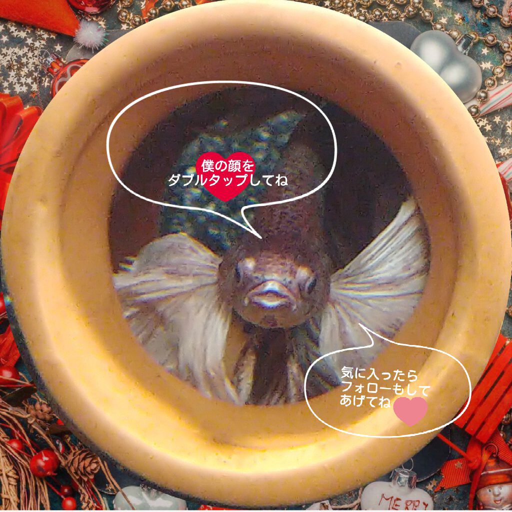 UR GLAM ENAMEL REMOVER SHEETS/U R GLAM/除光液を使ったクチコミ(2枚目)