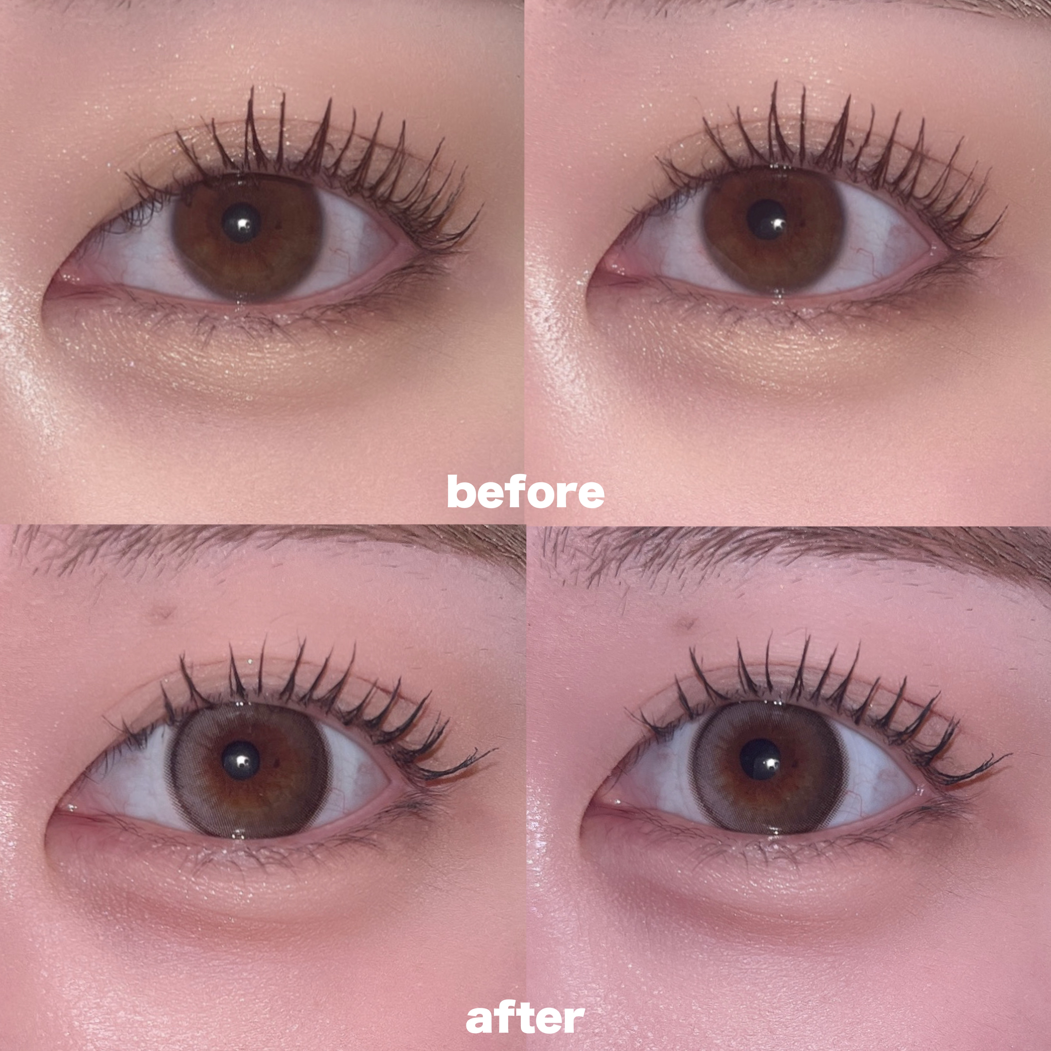 Daisy Shower 1Day/chuu LENS/ワンデー（１DAY）カラコンを使ったクチコミ（2枚目）