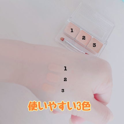 パレットコンシーラー/CEZANNE/パレットコンシーラーを使ったクチコミ(4枚目)