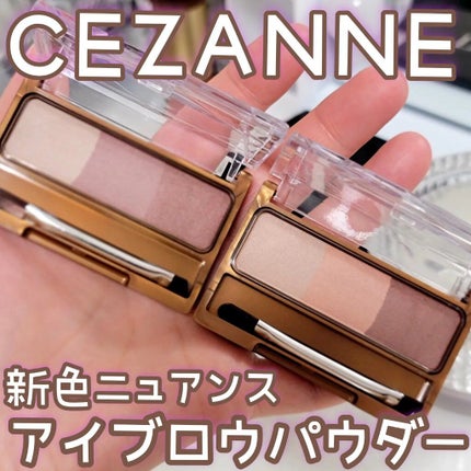 ノーズ&アイブロウパウダー/CEZANNE/パウダーアイブロウを使ったクチコミ(1枚目)