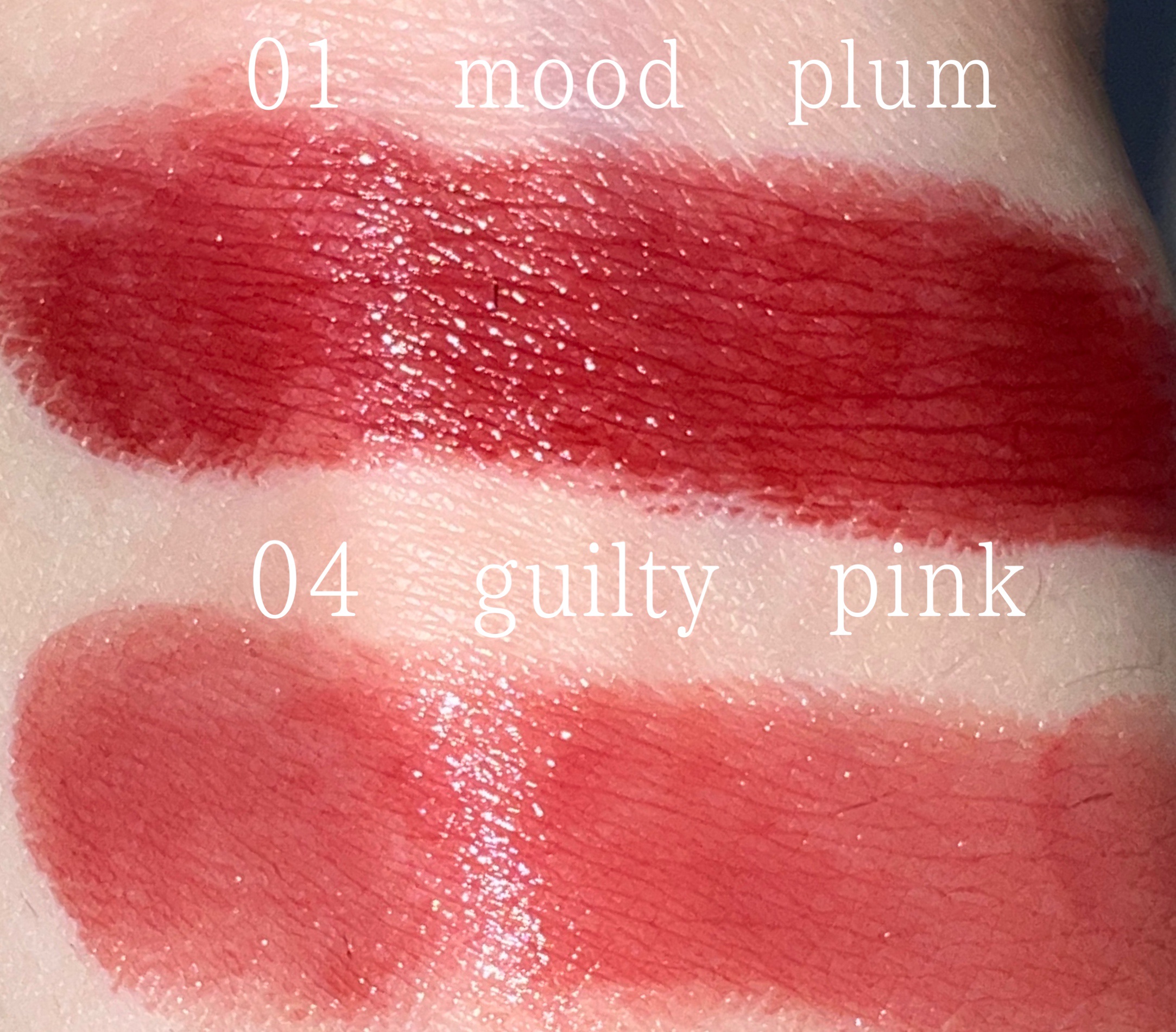 フォーエバー フィット ルージュ 01 mood plum(ムードプラム)/leur charme/口紅を使ったクチコミ（2枚目）