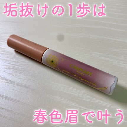 スマートミニアイブロウカラー/キャンメイク/眉マスカラを使ったクチコミ(1枚目)