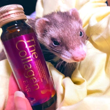 ザ・コラーゲン EXR <ドリンク>/ザ・コラーゲン/美容ドリンクを使ったクチコミ(2枚目)