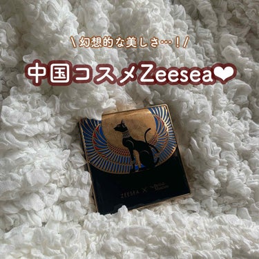 大英博物館 エジプトシリーズ アイシャドウパレット/ZEESEA/パウダーアイシャドウを使ったクチコミ（1枚目）