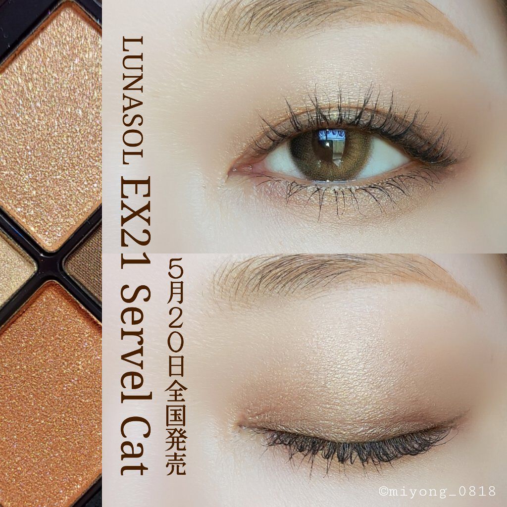 アイカラーレーション/LUNASOL/アイシャドウパレットを使ったクチコミ（1枚目）